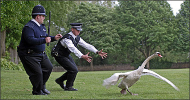 Типа крутые легавые — Hot Fuzz