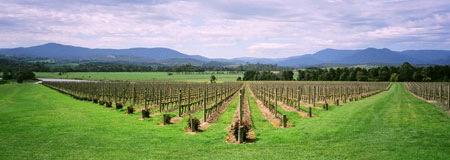 Долина Ярра