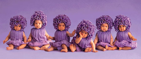 Фиалки от Энн Геддес