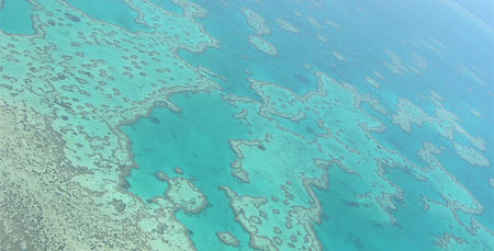 Большой барьерный риф