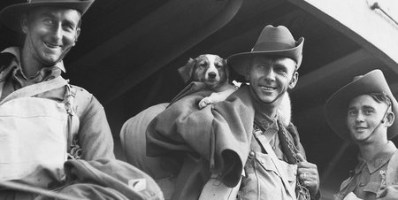 Возвращение домой