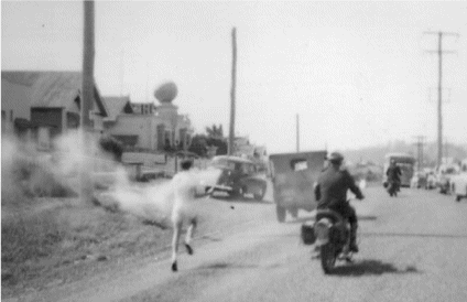 Эстафета Олимпийского огня