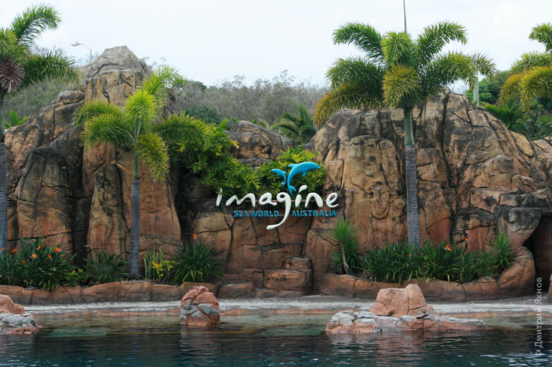 Дельфинарий в парке Sea World