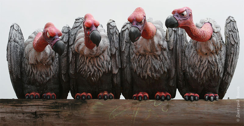 Добро пожаловать в парк